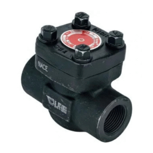 Válvula Check API 602